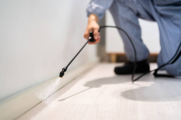 Licensed Pest Control service in Centralia, MO - Show Me Pest Control